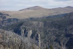 A fire scar plus arrow mountain in the distance [sat sep 4 15:44:00 mdt 2021]